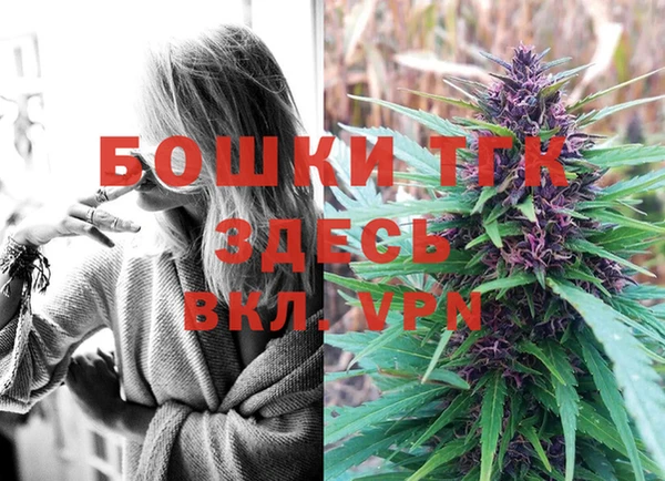 гашик Алексин
