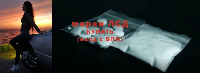 гашик Алексин