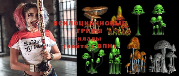 круглые Алзамай