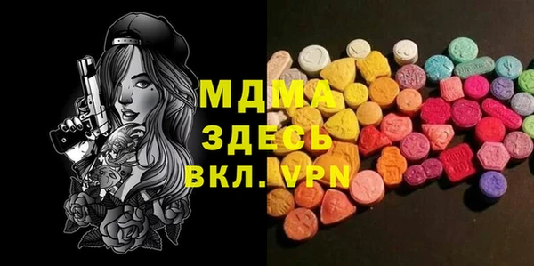 гашик Алексин