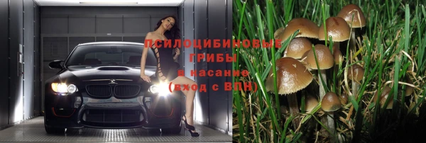 круглые Алзамай