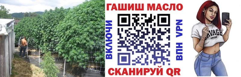 ссылка на мегу зеркало  даркнет Telegram  ТГК THC oil  Аргун 