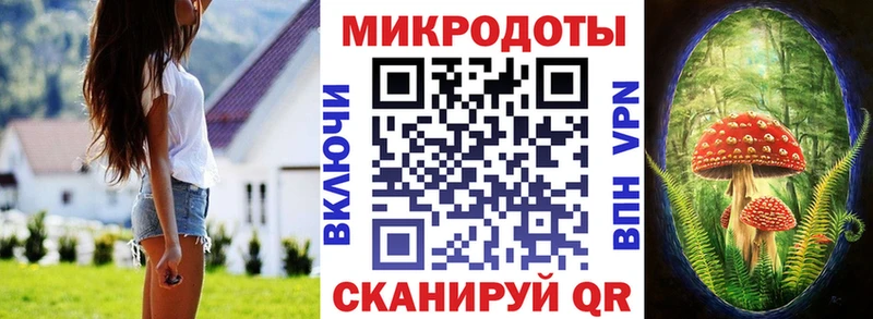 где продают Аргун Галлюциногенные грибы Cubensis